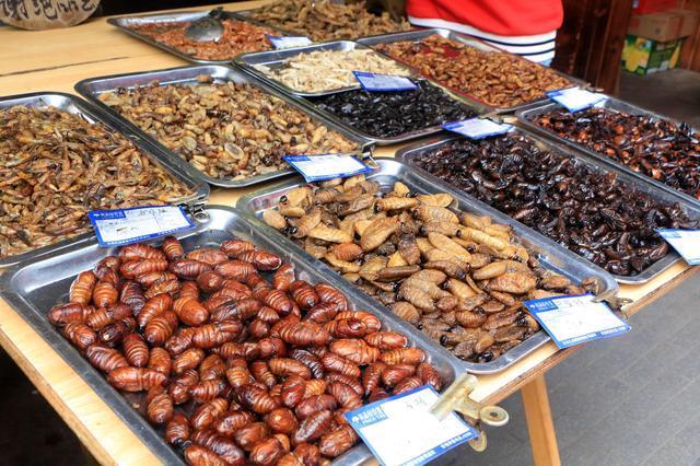 中国八大油炸昆虫宴敢说吃全了的没有万分之一
