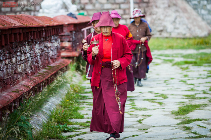 西藏林芝喇嘛林寺,尼姑和喇嘛在同一经堂诵经