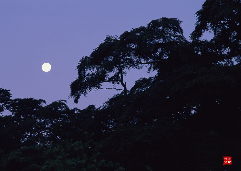 月夜思念点点到天明