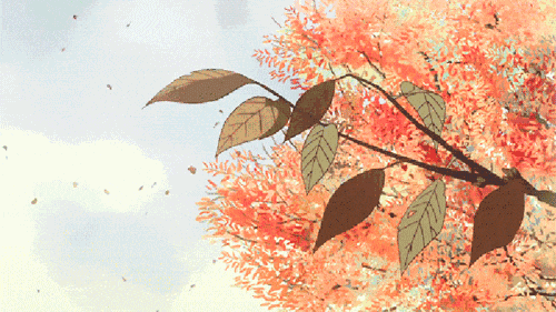 枫叶飘飘倾听一叶知秋的美丽