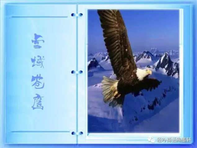 04:05                           我是苍鹰, 翱翔于雪山高原