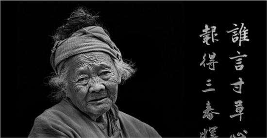 儿呀,娘想做你家的一条狗(看完,真的流泪了)