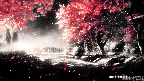 500_281gif 动态图 动图