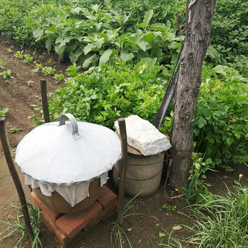 东北酱缸,放在阴凉处的浪里格朗,鸡窝里的鸡被我吓跑了水瓢,水缸和