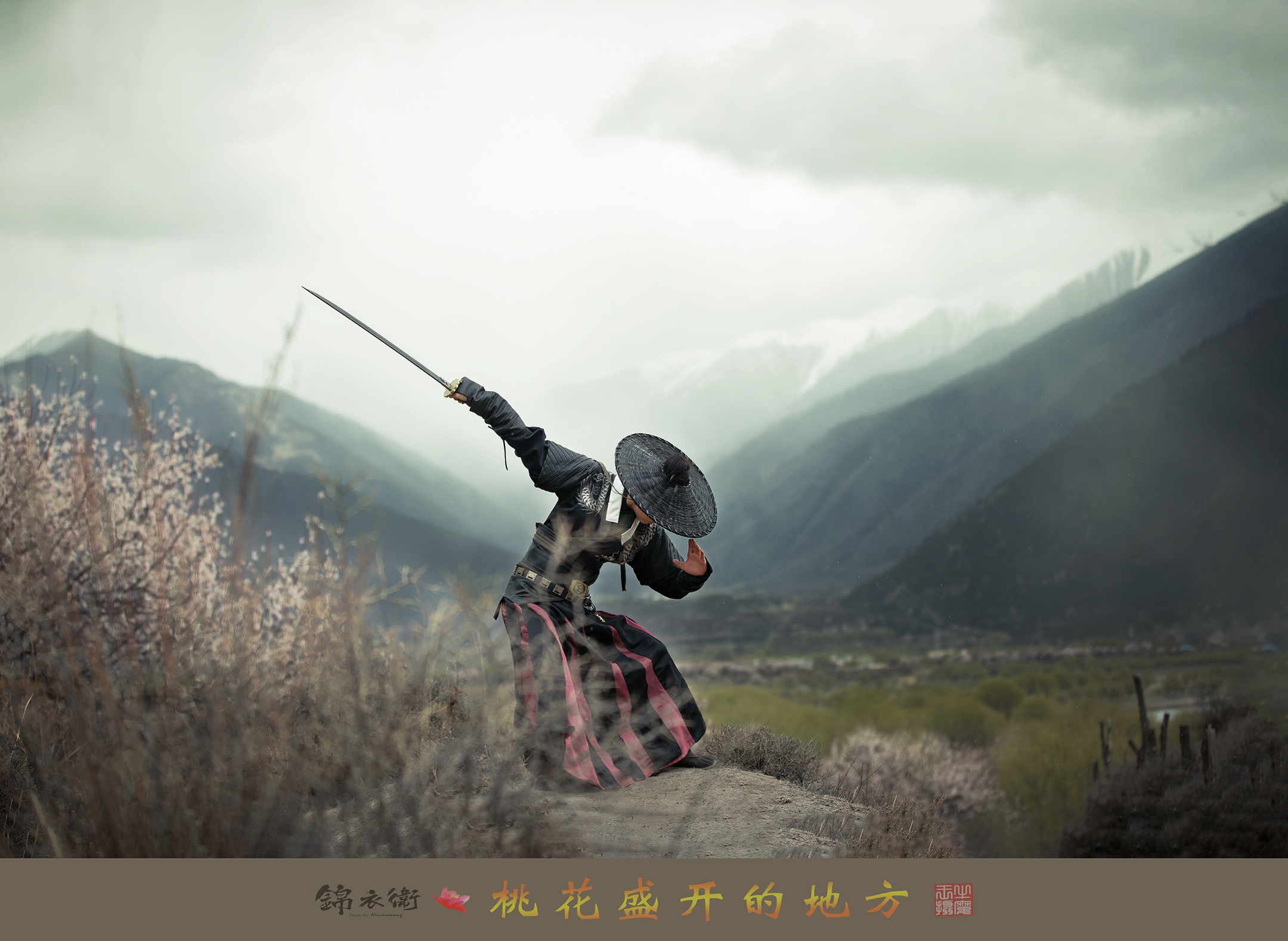桃花盛开的地方