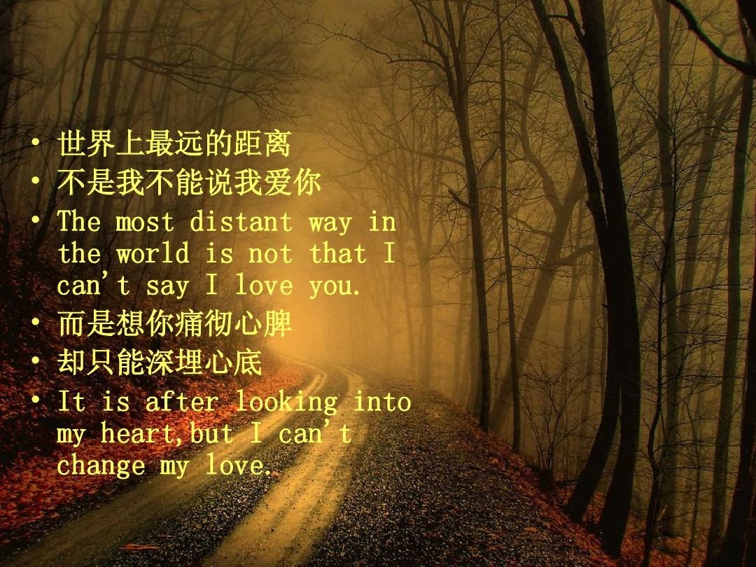 看泰戈尔世界上最遥远的距离紫色的风诵读