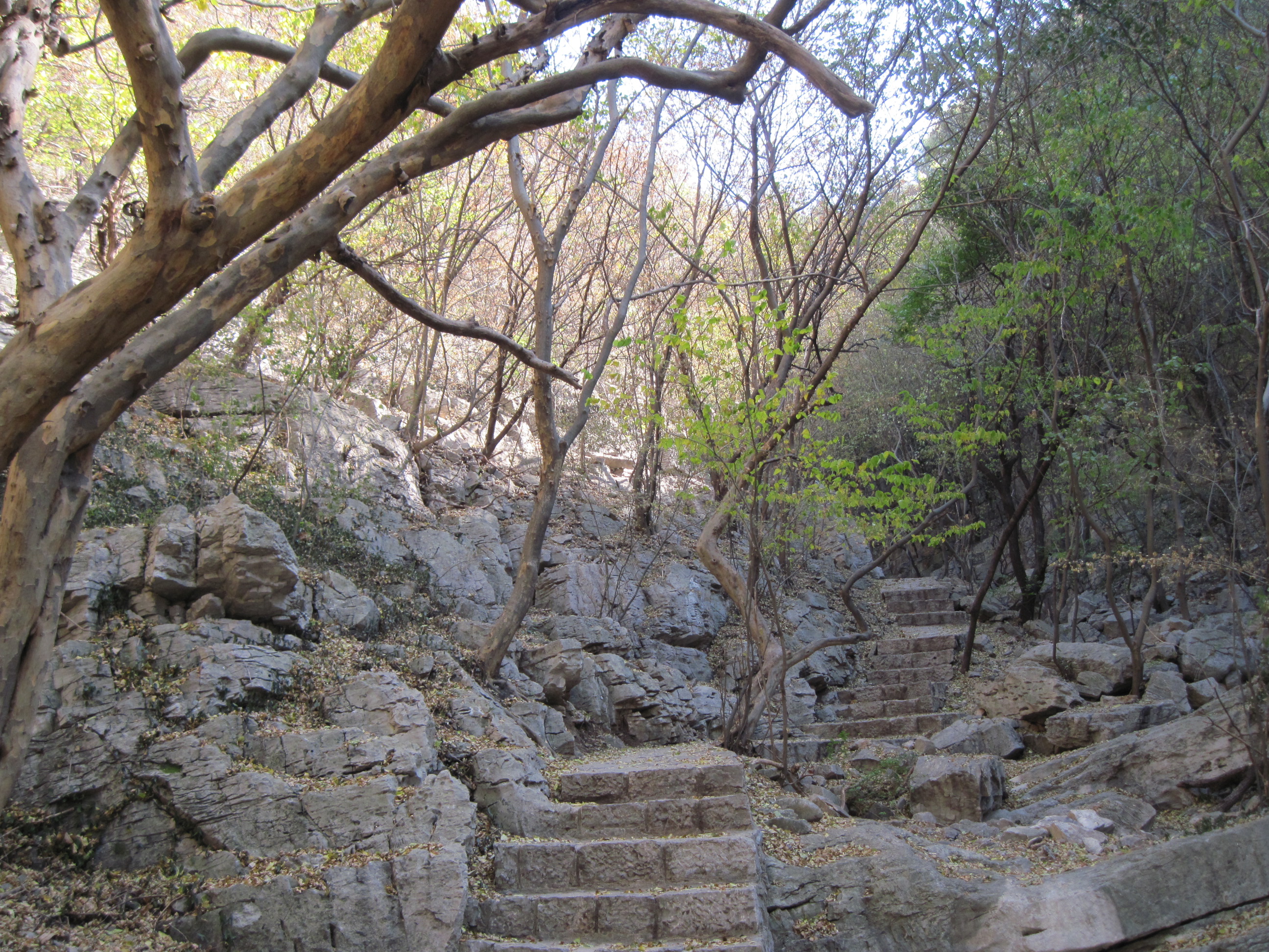 骑游之●萧县天门寺