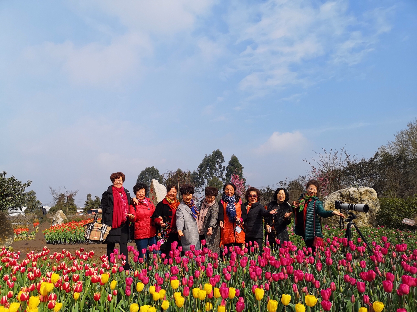 姹紫嫣红总是春新津花舞人间国家aaaa风景区201939