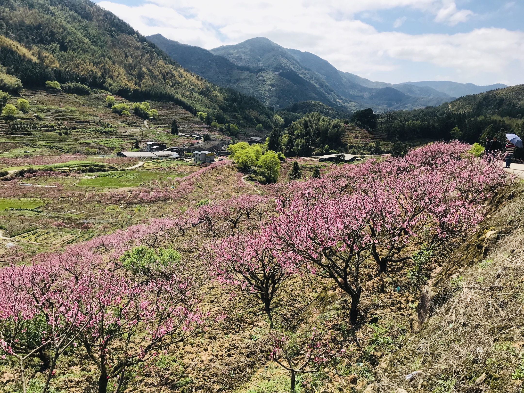 20200401古田临水宫兰坦村赏桃花一日游