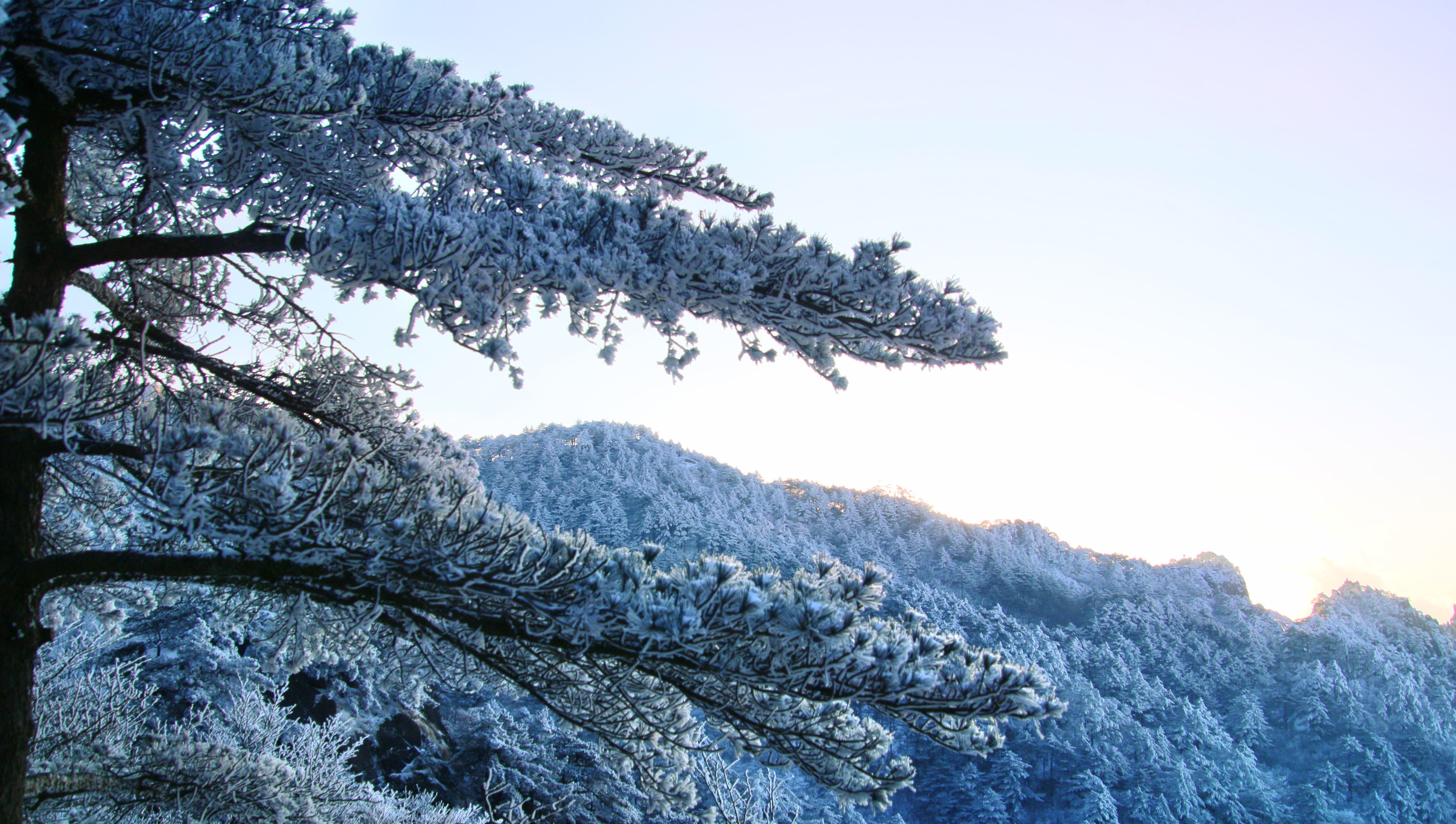 黄山~雪影