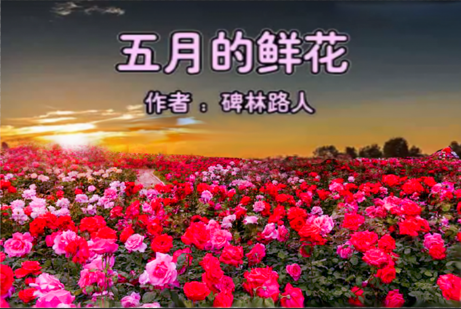 五月的鲜花/作者碑林路人/朗诵天际峰