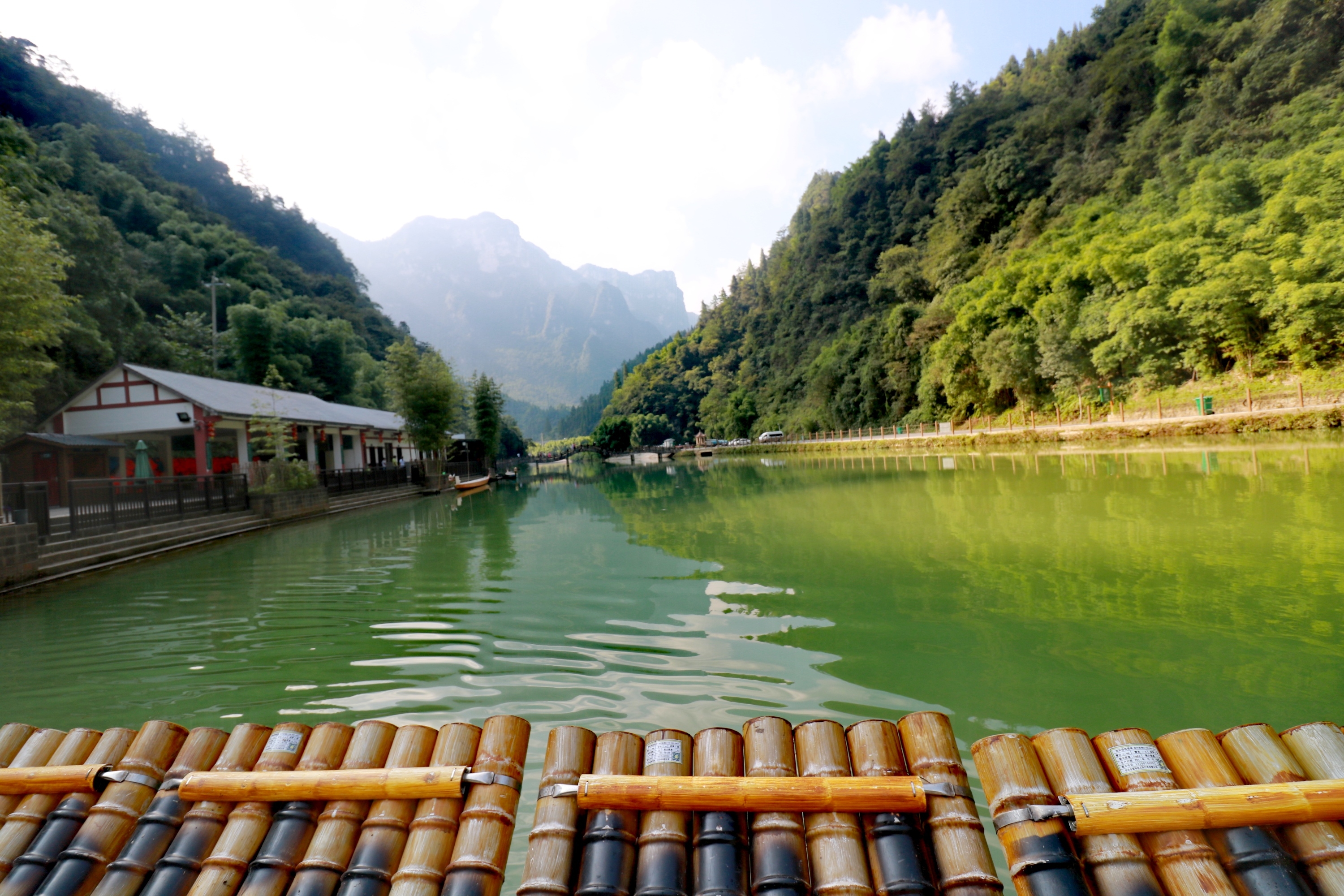 三峡竹海 建东采摘