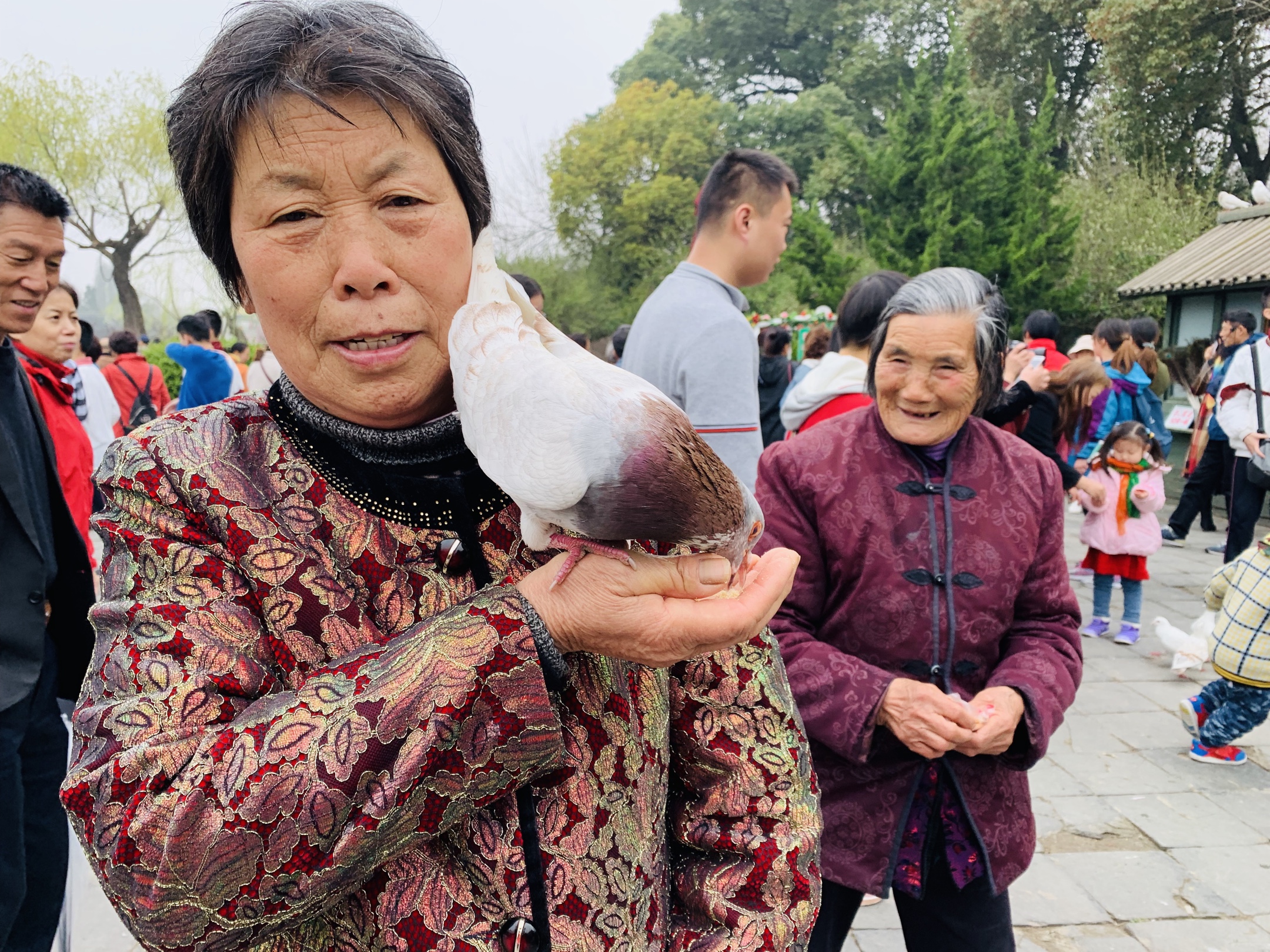 好在昨天有昌龙哥和大嫂申桂芳陪着她,不然的话也走不下来!