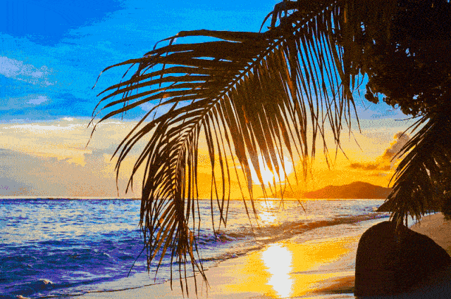 暮阳西下风满楼 余辉四射溅城头 游人漫步街上走 满天星斗数难求