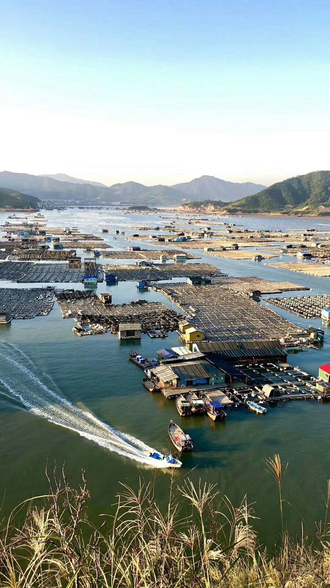 滩涂旅游摄影胜地金秋后的霞浦