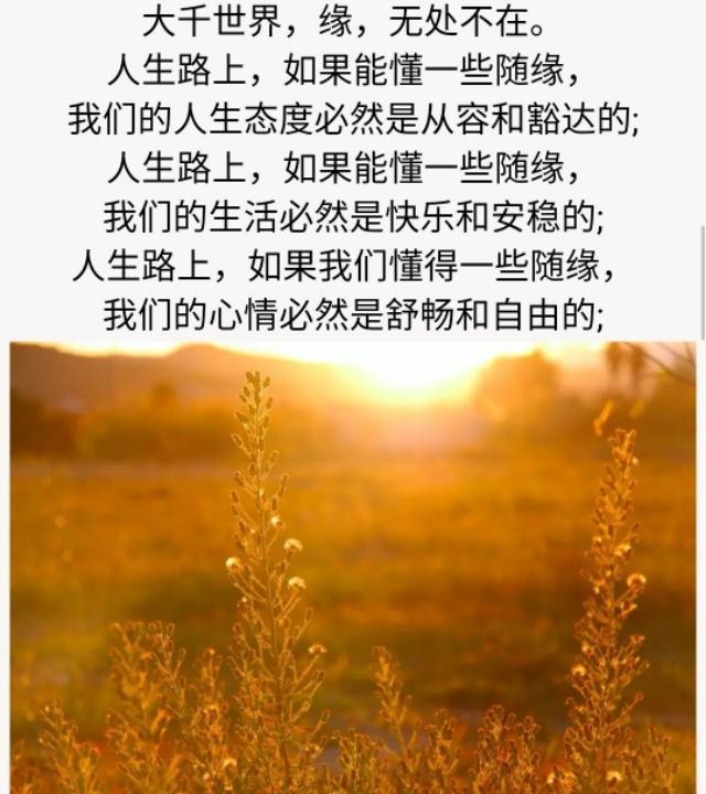 茫茫人海,有几个人牵挂你?