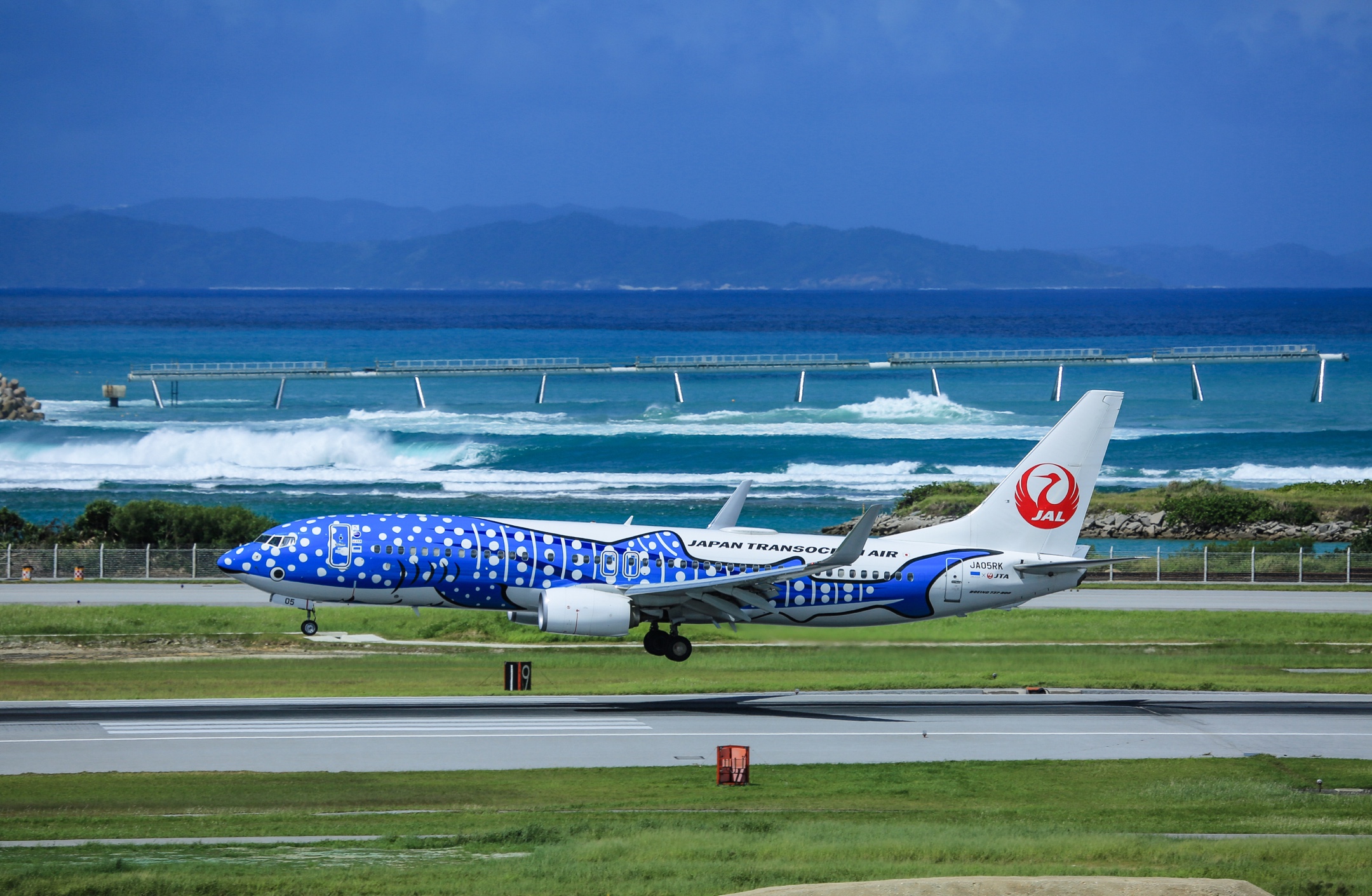 jta日本越洋航空公司波音737-800型"蓝鲸鲨"(代表冲绳特色的美丽海