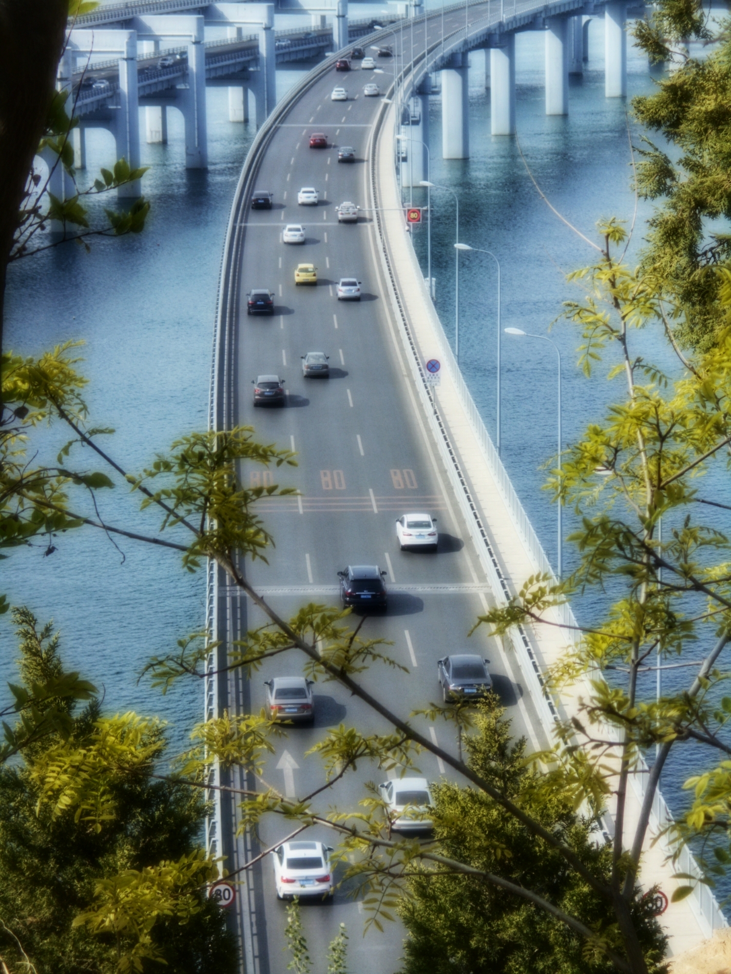 莲花山与跨海大桥