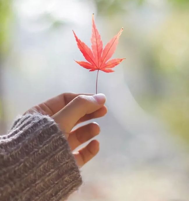 雨中的思念