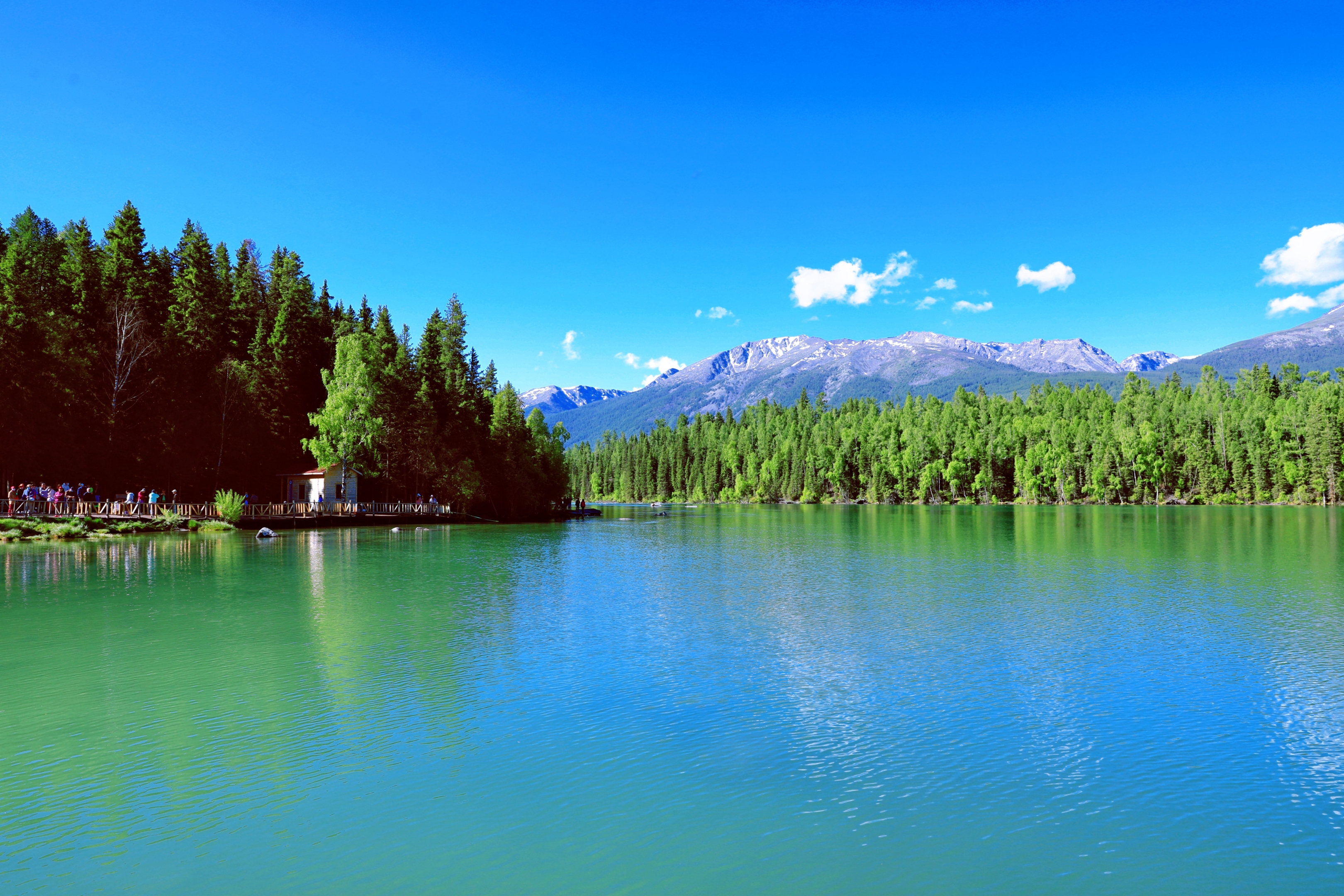 喀纳斯风景