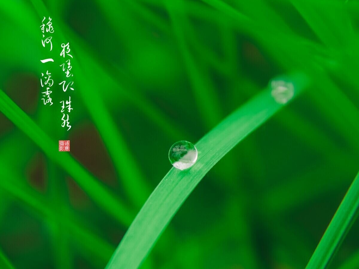 阳光般的笑容, 雨后或清晨, 早早地将太阳等候