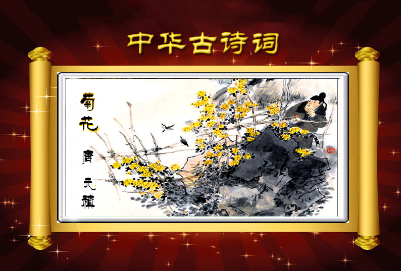 古诗词鉴赏菊花唐元稹朗诵丹青
