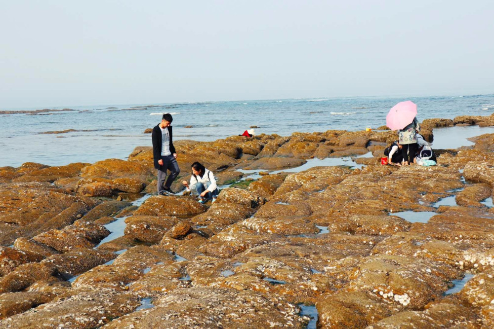 秦皇岛南北戴河万米沙滩戏水冲浪 金山浴场赶海拾贝品质三日游