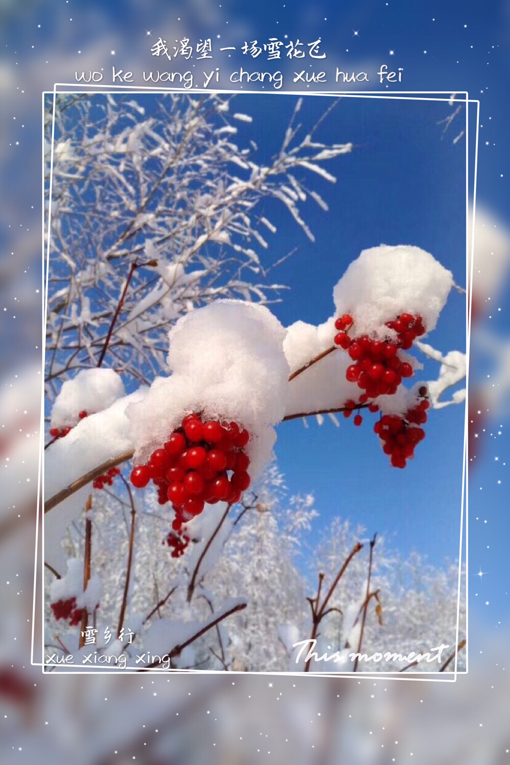 我渴望一场雪花飞