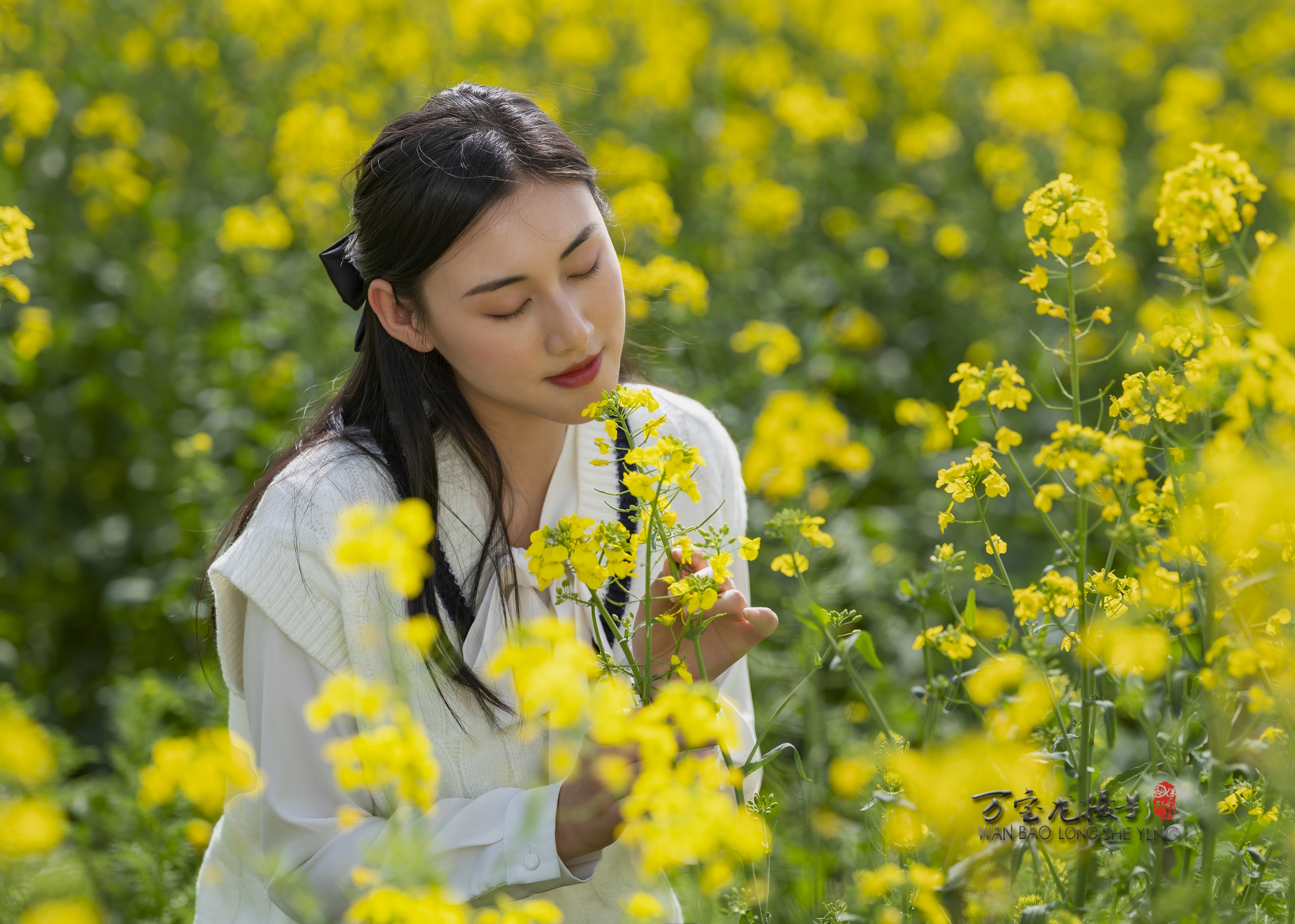 【油菜花开】