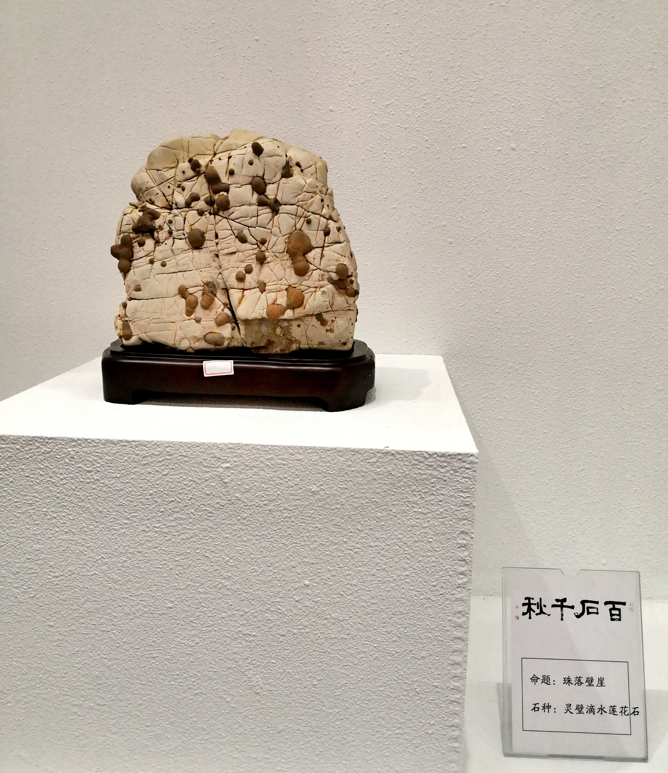 百石千秋大型奇石展