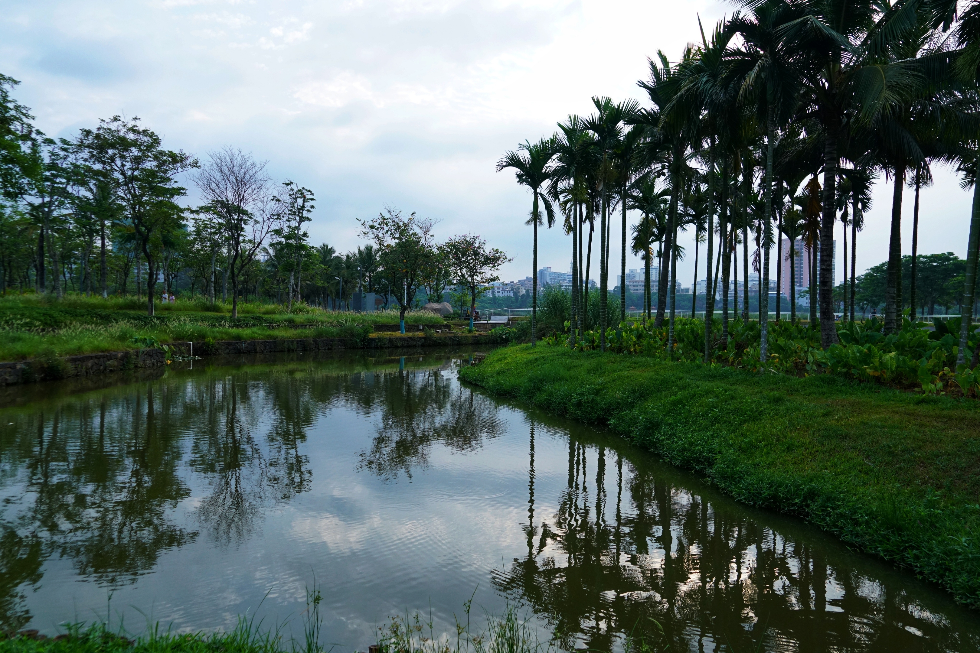 美舍河湿地公园