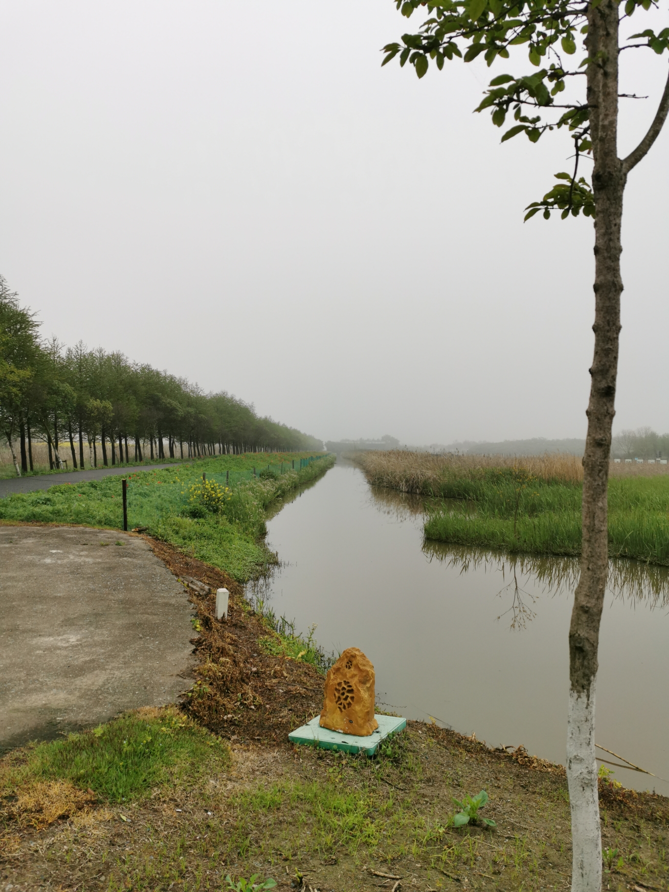 上海崇明岛东滩湿地公园