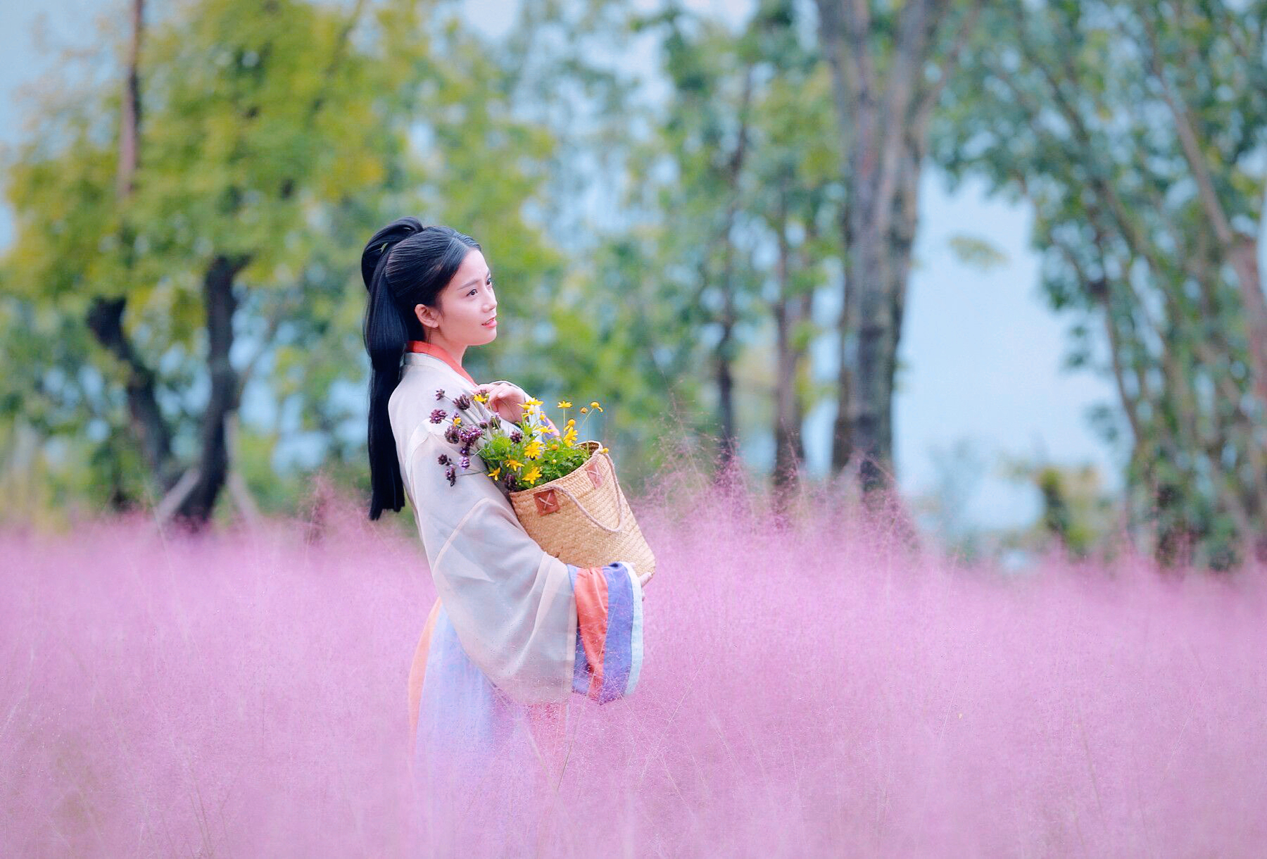 粉黛浣花锦