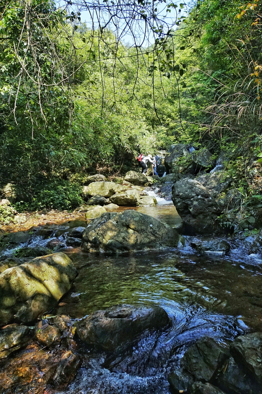 桂林灵川神岭瀑布高山映山红
