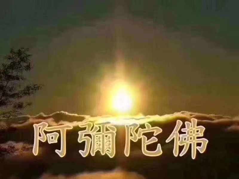 同题《拜佛》信仰,崇拜双手合十拂去心尘 叩拜菩萨我本善良有一颗菩萨