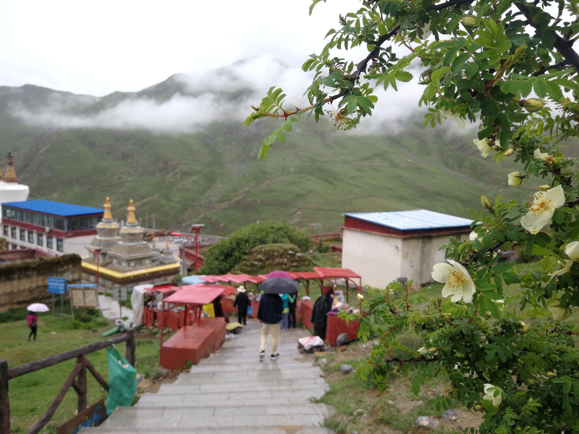 拉萨市达孜县扎叶巴寺