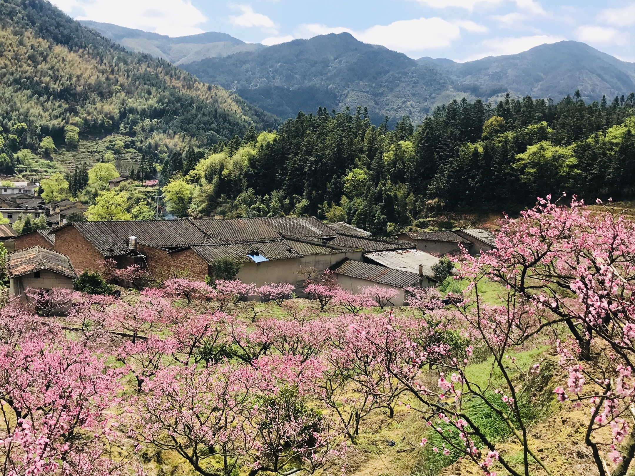 20200401古田临水宫兰坦村赏桃花一日游