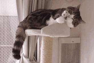 330_220gif 动态图 动图