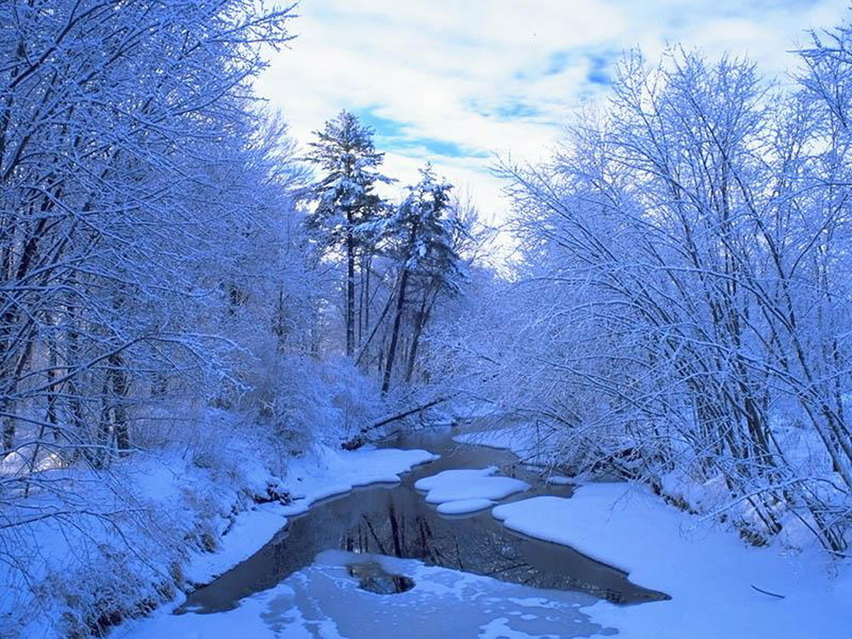 冬雪抒怀首发