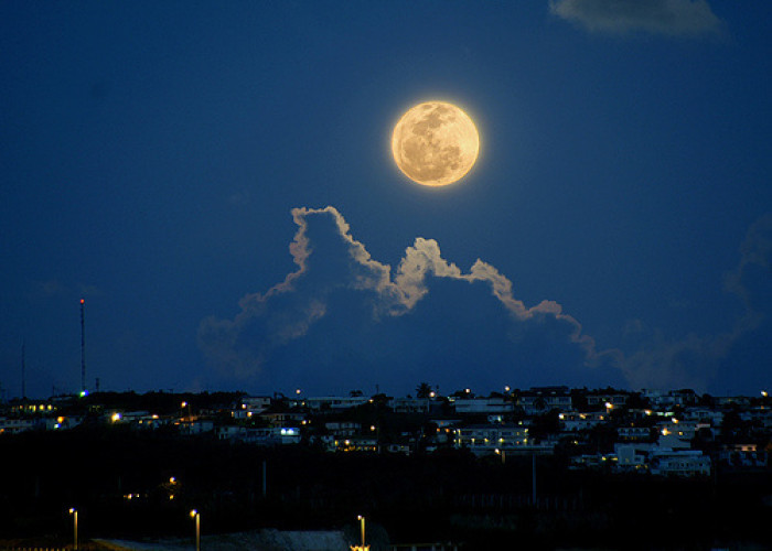 凝望夜空