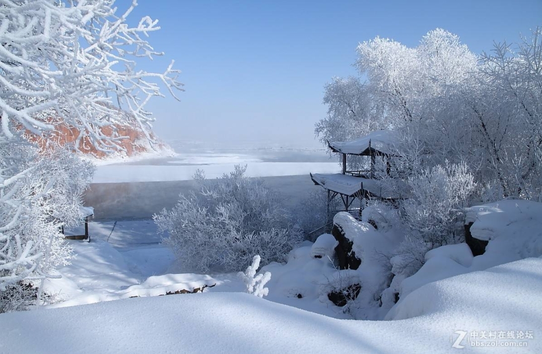 "我爱你塞北的雪, 飘飘洒洒漫天遍野" 一首深情的歌曲