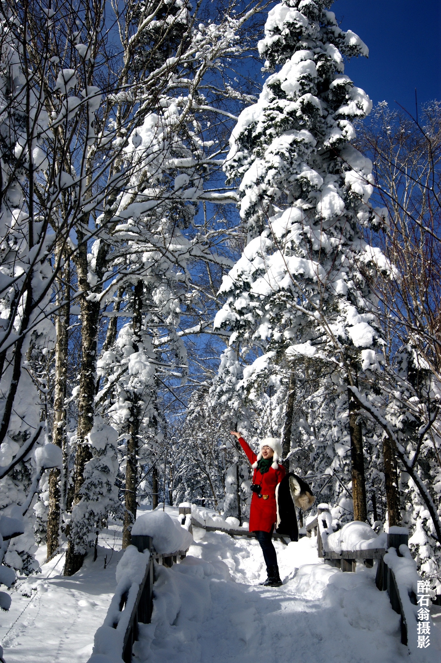 塞北的雪