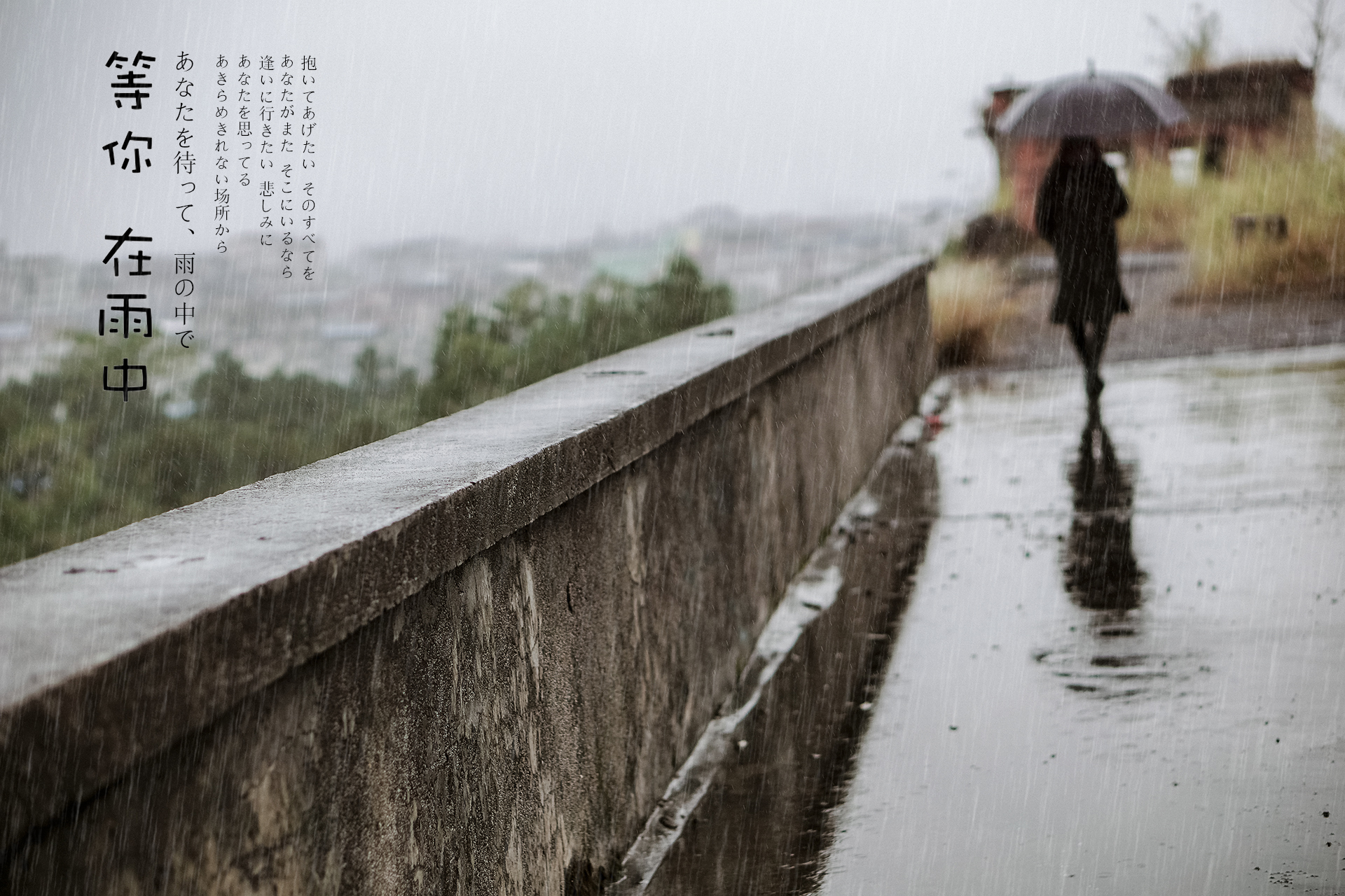 我在风雨中等你