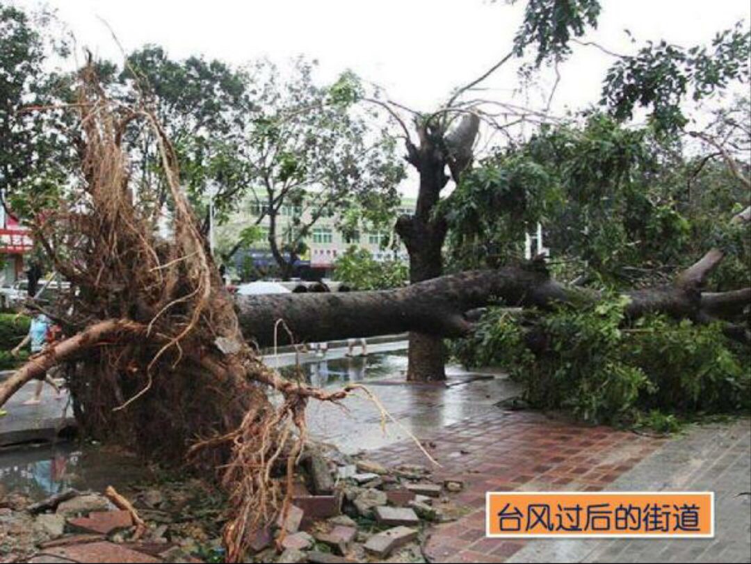 2020年5月25日安全活动台风来了
