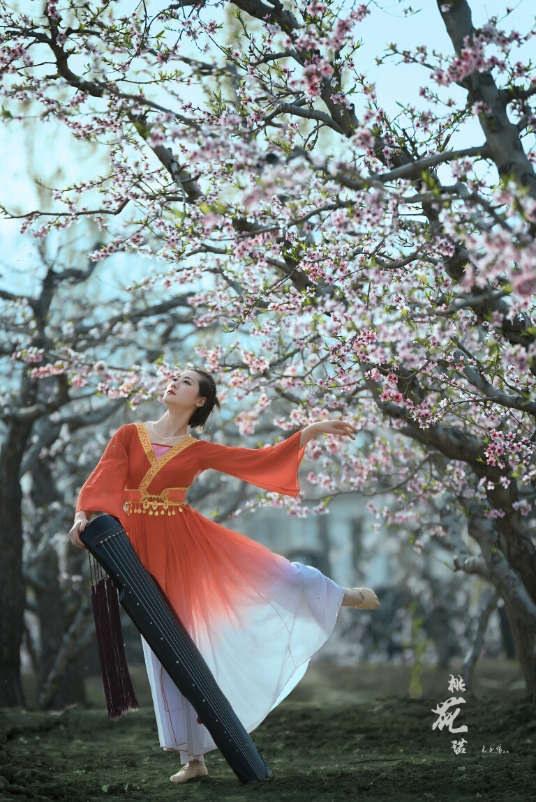 桃花诺