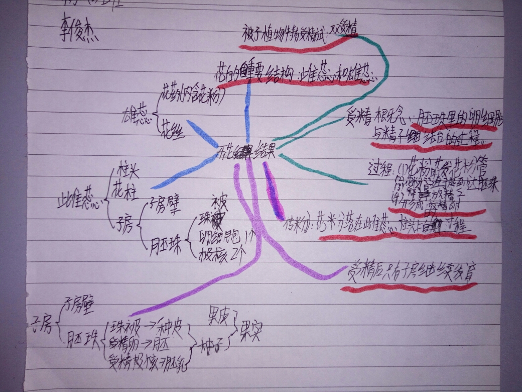 顺着思路绘出脉络清晰的思维导图