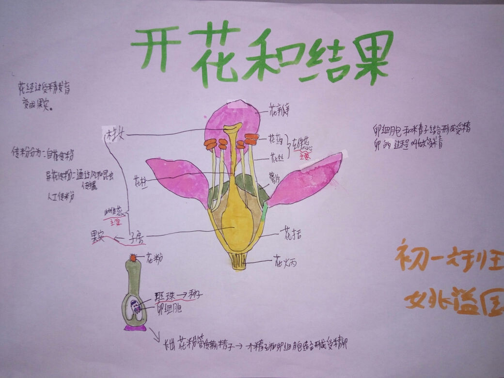 顺着思路绘出脉络清晰的思维导图