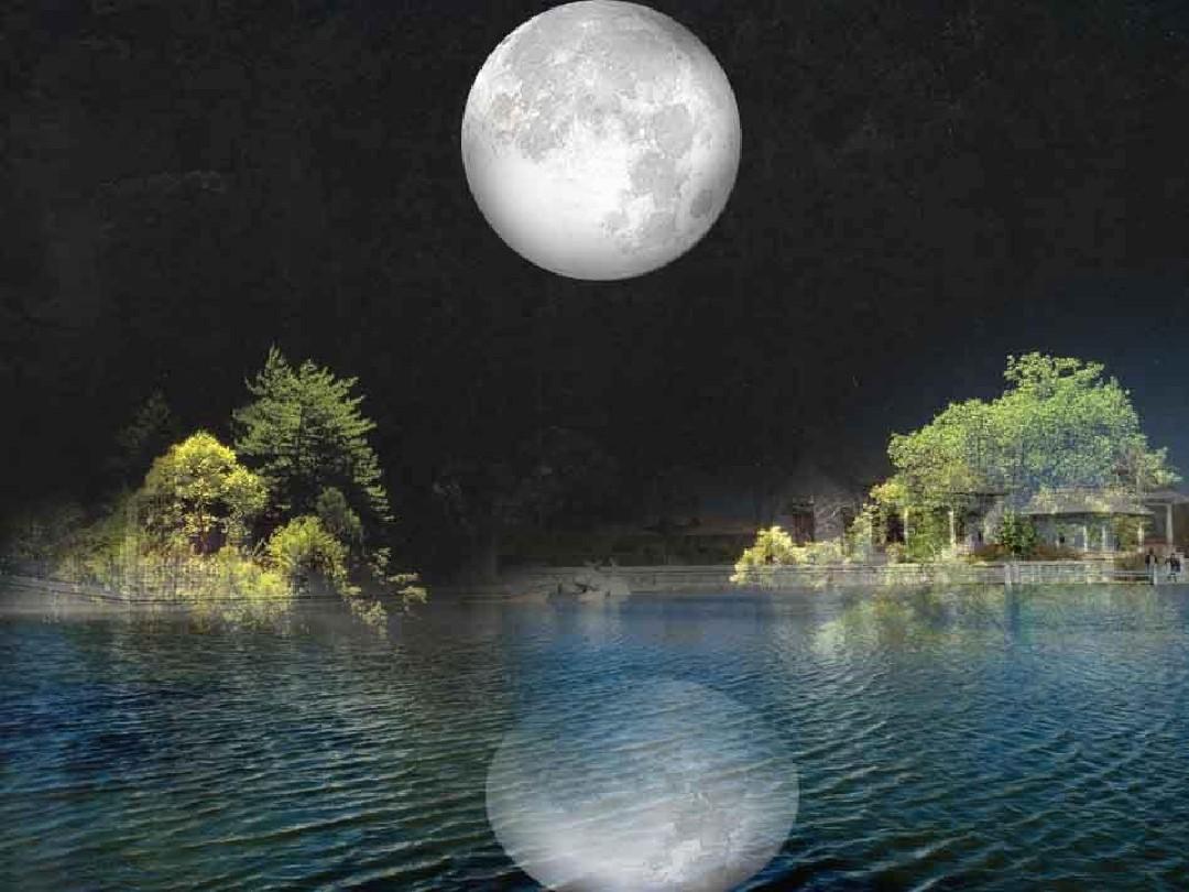 春江花月夜||经典咏流传