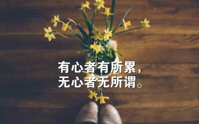 人生感悟