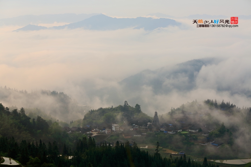 天鹅山上好风光